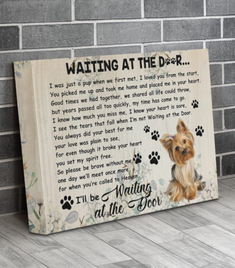 Yorkshire Terrier Waiting At The Door Canvas 4