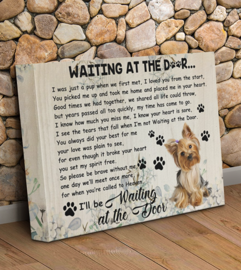 Yorkshire Terrier Waiting At The Door Canvas 3