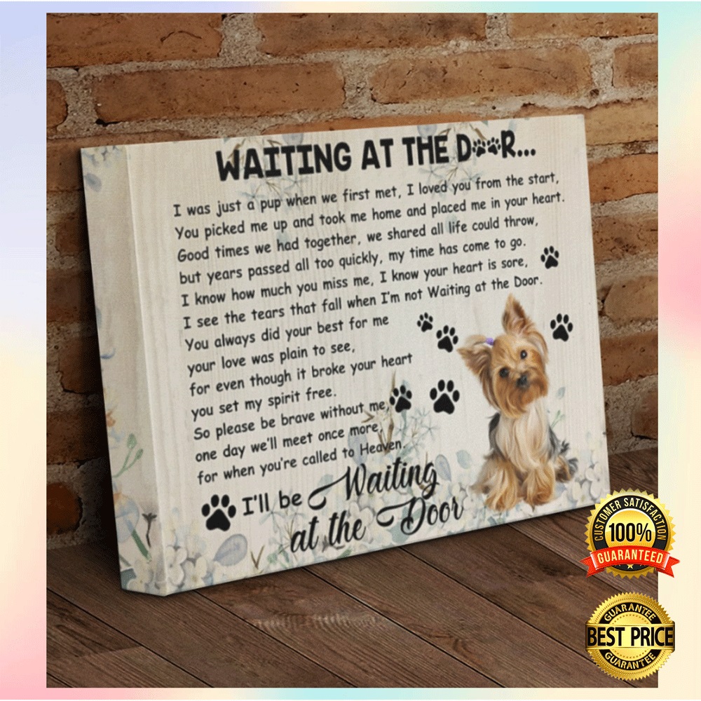 Yorkshire Terrier Waiting At The Door Canvas 1